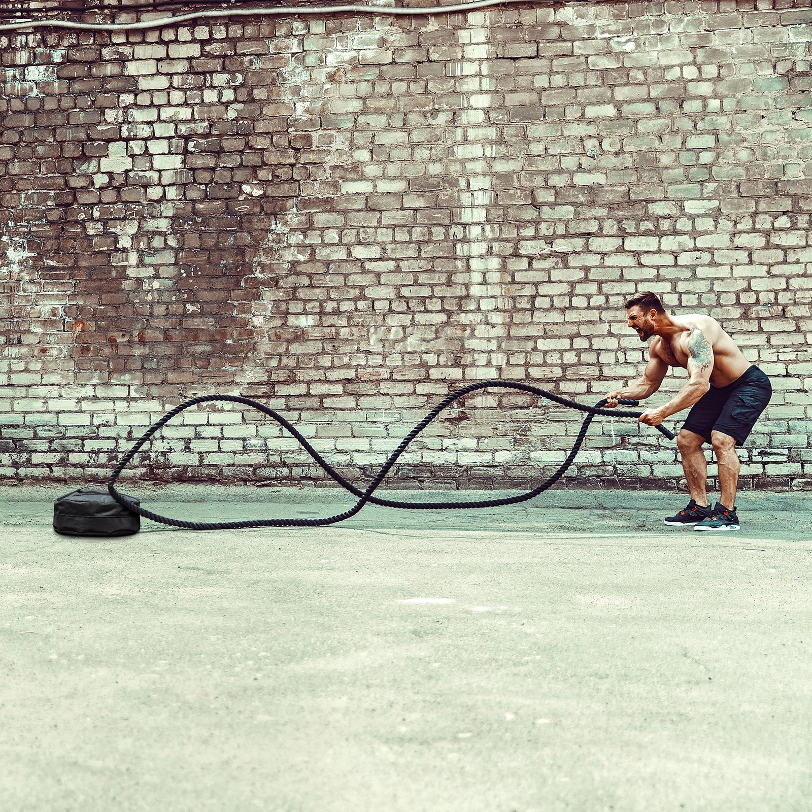 Meister Portable Battle Rope Anchor