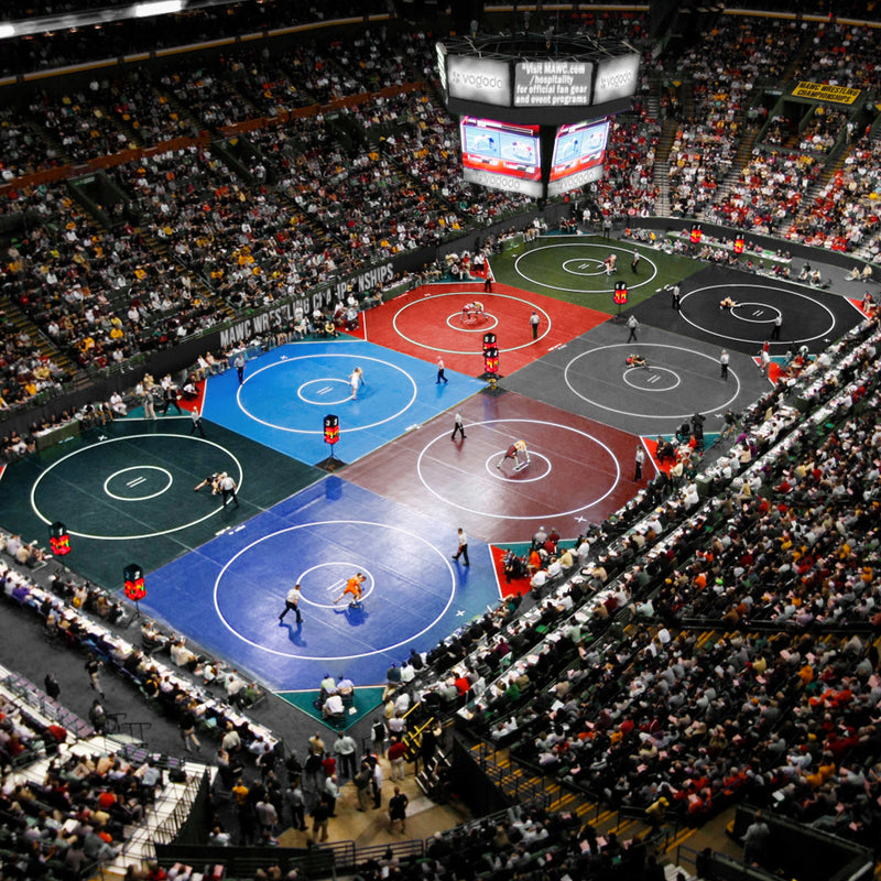 Meister Premium Wrestling Mat Tape - 4