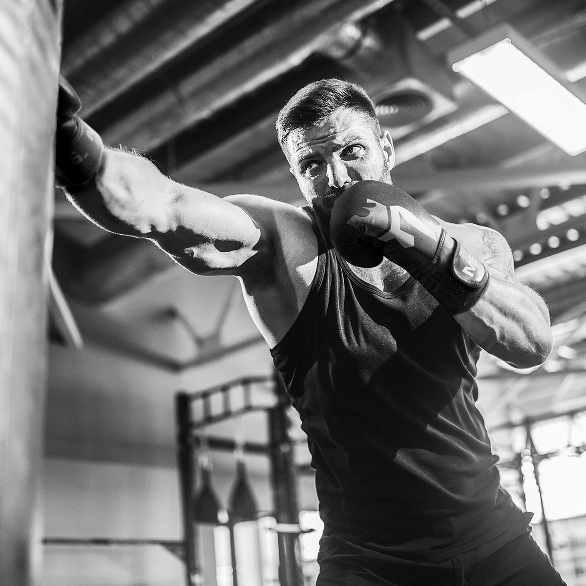 Meister [Critical] Gants De Boxe – Entraînement Haute Densité, Cuir EcoHide Durable, Protection Optimale 12oz