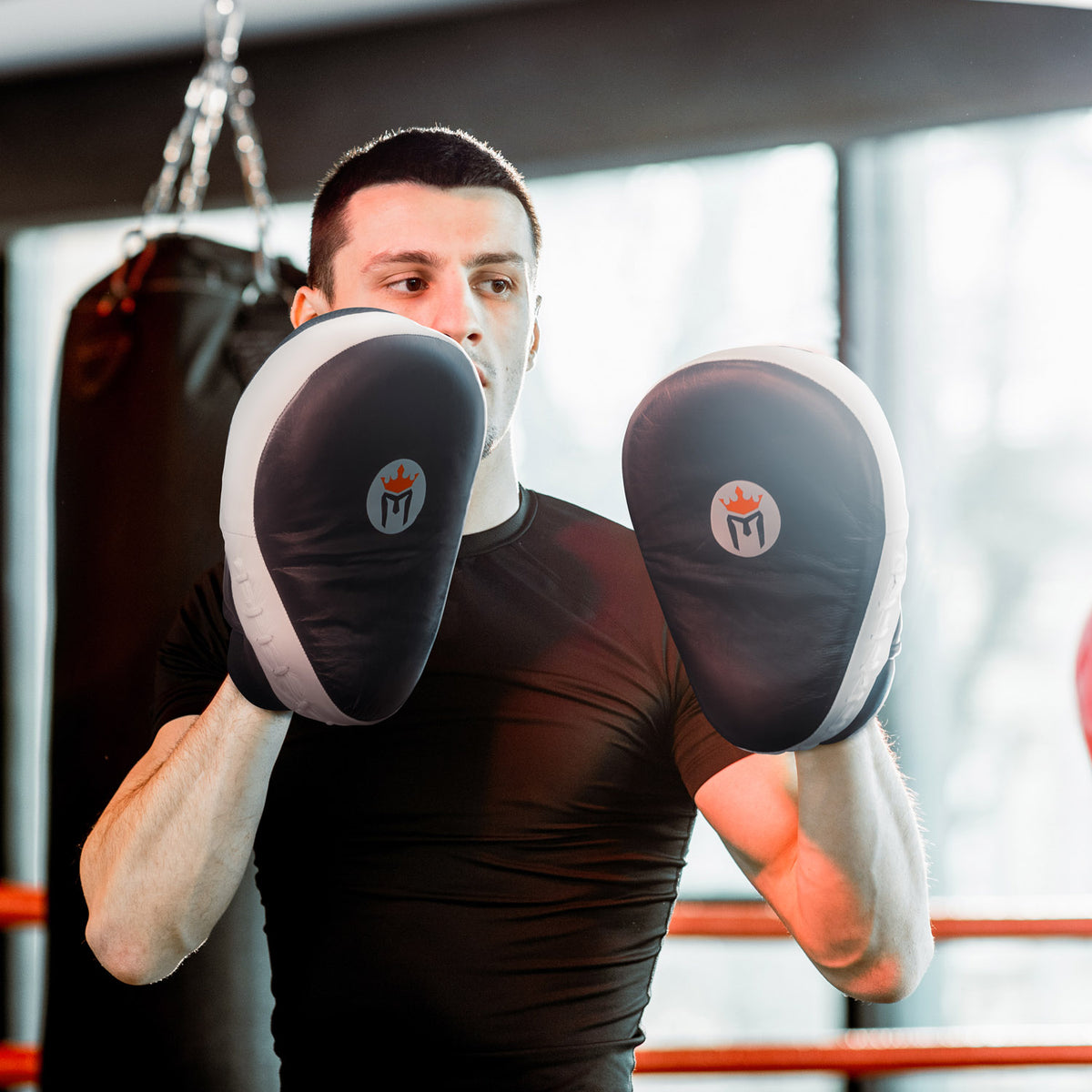 meister_mma_focus_mitts_curved
